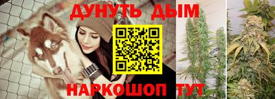 дмт Новозыбков